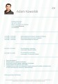 08_innowacyjne_CV_www_tqmtc_pl