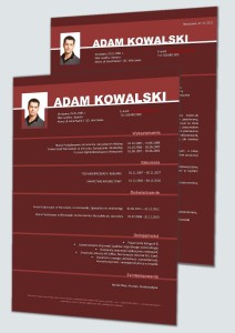 CV I LM - Specjalista ds. Marki / Produktu