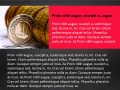 finanse-7.jpg