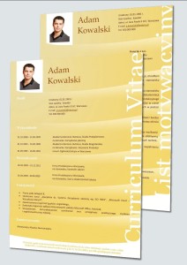 CV I LM - Kontroler Jakości
