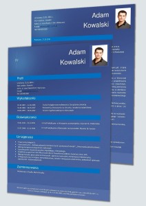 CV I LM - Inżynier Materiałoznawca